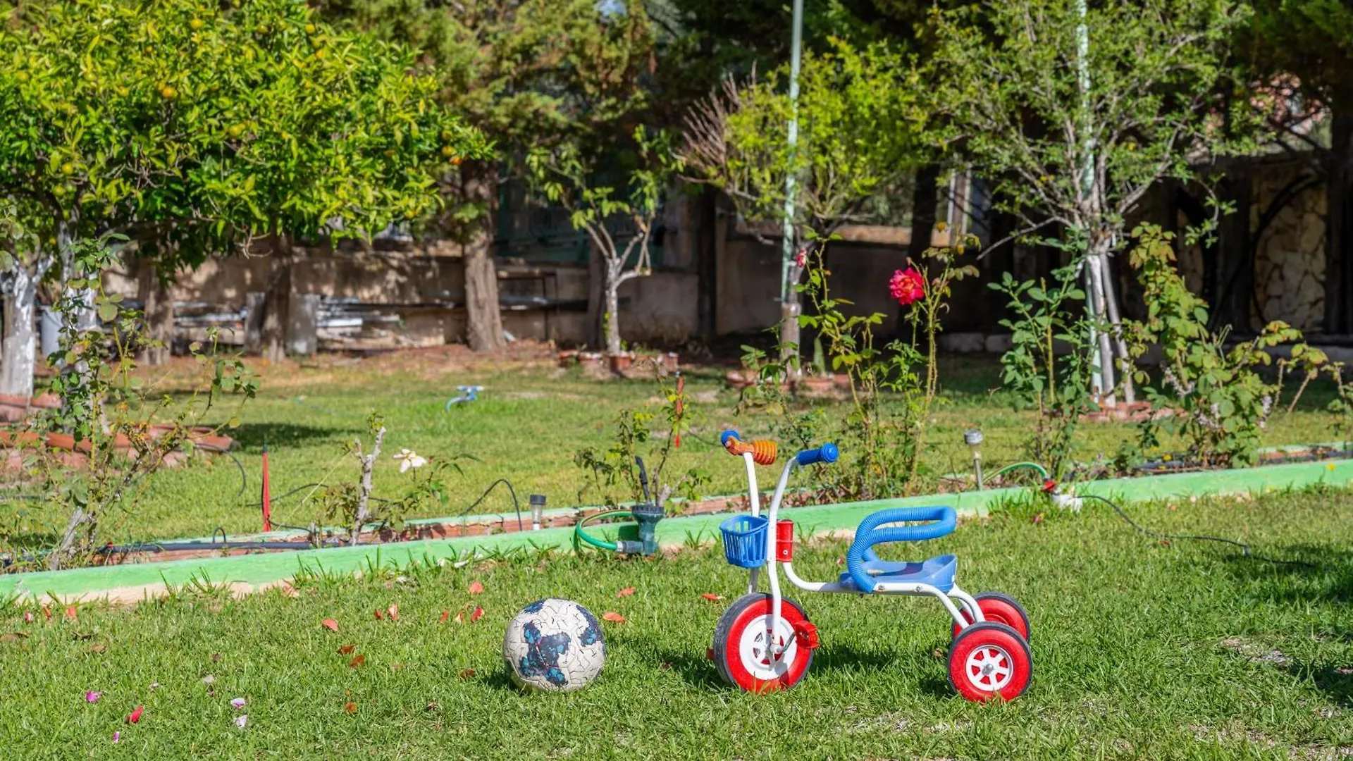 סבורונטה Vista Verde Studios & Apartments